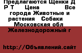 Предлагаются Щенки Д.Р.Т.  › Цена ­ 15 000 - Все города Животные и растения » Собаки   . Московская обл.,Железнодорожный г.